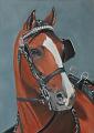 cheval att1